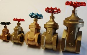 BRASS GATE VALVES