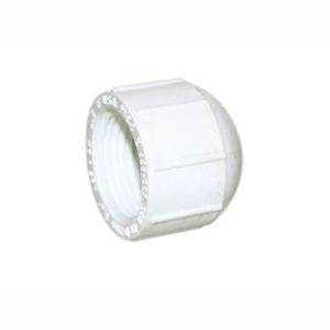 PVC CAP SCH40 (THD)