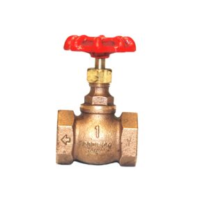 GLOBE VALVE