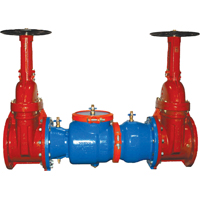 DOUBLE BACKFLOW